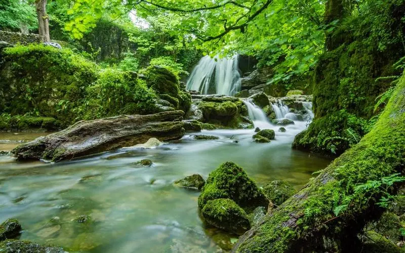 高效全自动节能